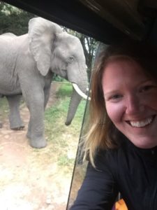 me in a jeep with open window showing elephant right outside 