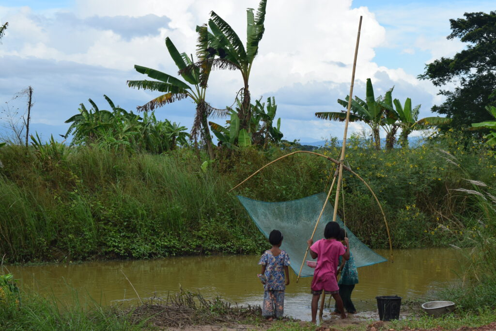 Kids fishing with a basket net in Myanmar