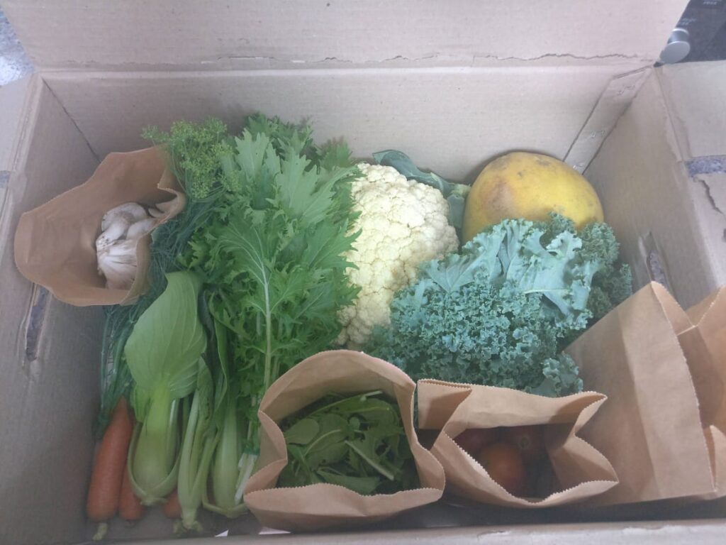 box of organic green vegetables, fruit, cauliflower, etc